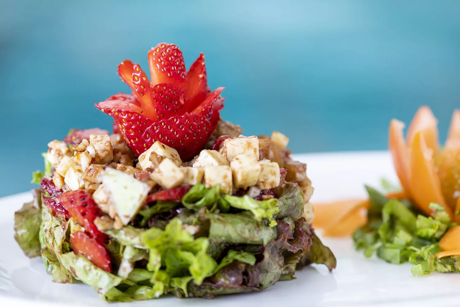 Costa Rica Wellness Retreat experience