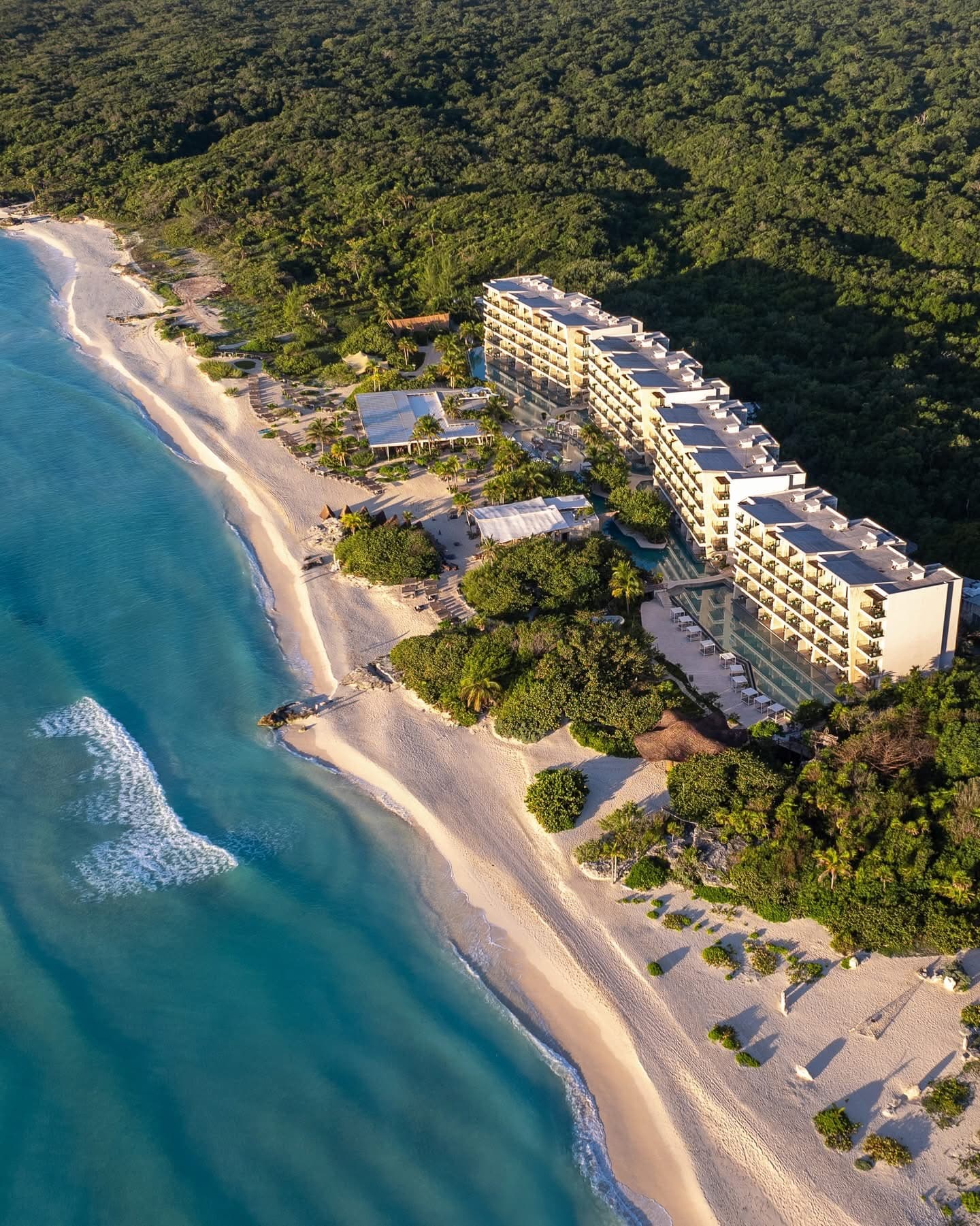 Palmaïa from above, between the jungle and the sea
