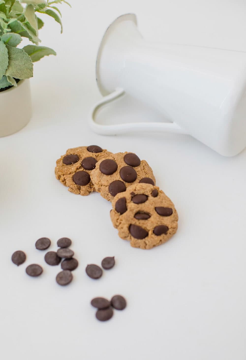 Protein cookies